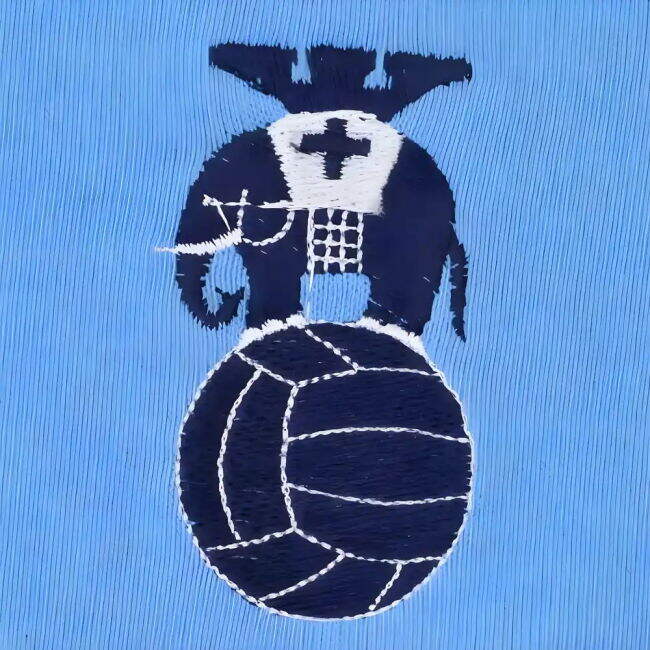 Championship Classic Home Jersey Coventry