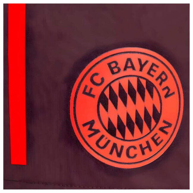 Bayern Munich (bayern) 2024-2025 - Var4-6