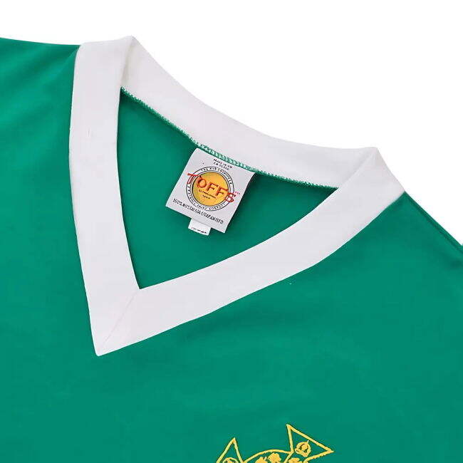 Licensed Copy Northern Ireland Home Fan Shirt for Adults