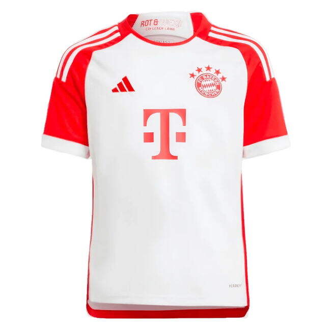 Replica Bayern Superior Craftsmanship 2024-2025 Season Soccer Jersey
