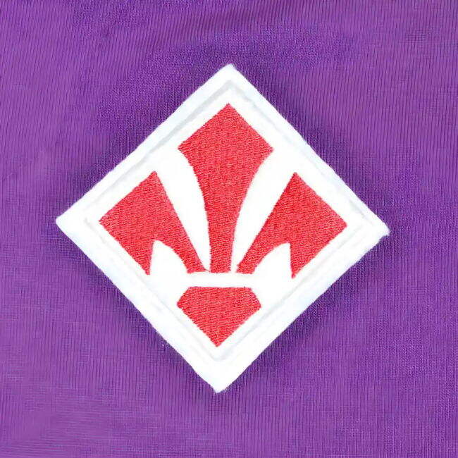 Adult Fiorentina Jersey Fiorentina #97
