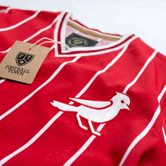 Modern Bristol The Robin Home Retro Football Shirt for Supporter Gear