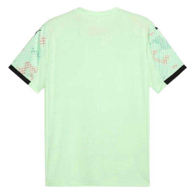 Exquisite 2025-2026 Portugal Womens Team Away Shirt (Unisex) From China