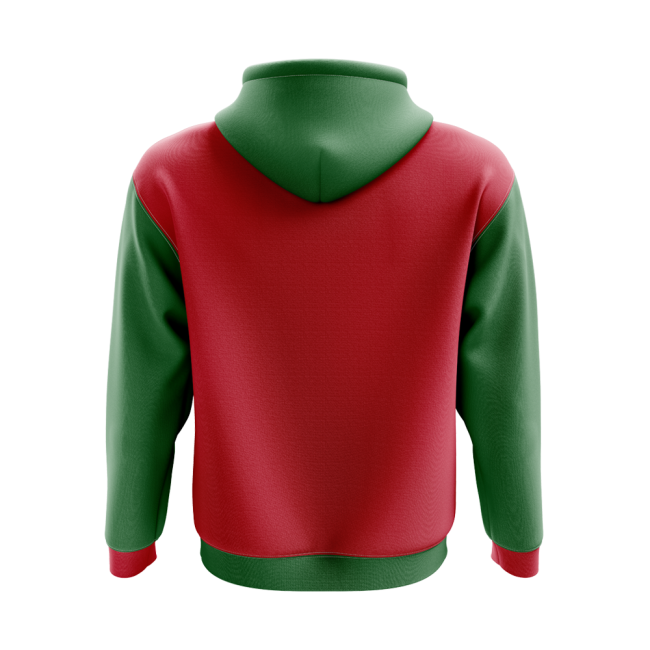 Benin Concept Country Football Hoody (red) - Match Quality