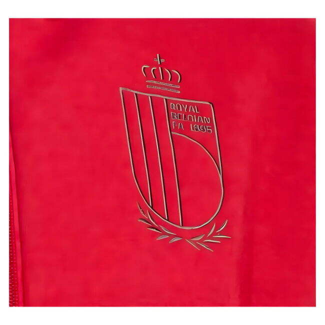 Belgium Limited Edition Jersey 2024-2025 #47