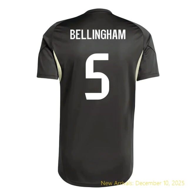 2025-2026 RM Real Madrid Training Professional Jersey (Utility Grey)