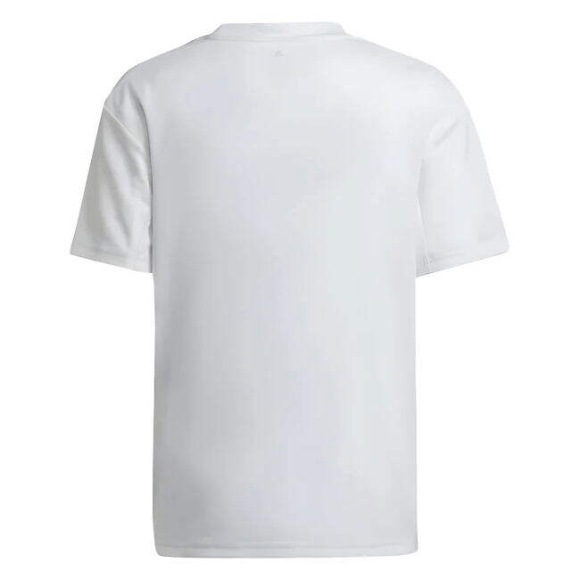 Olympique Lyon Special Edition Home Jersey 2022-2023