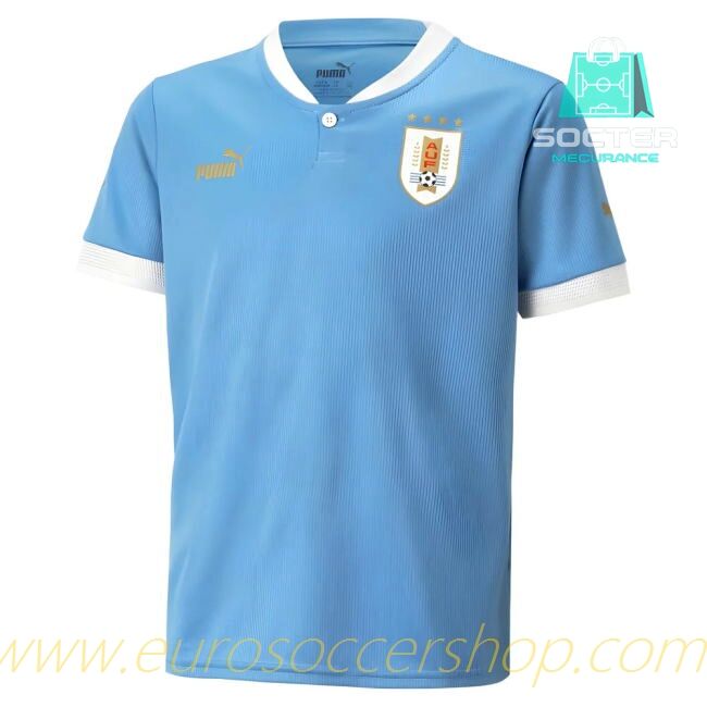 2022-2023 Match Quality Uruguay Home Shirt (D Nunez 11)