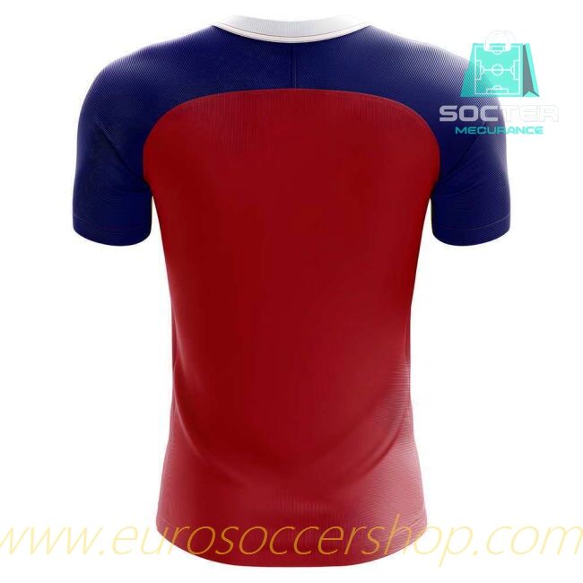 2025-26 Edition Samoa Match Quality Home Jersey Junior