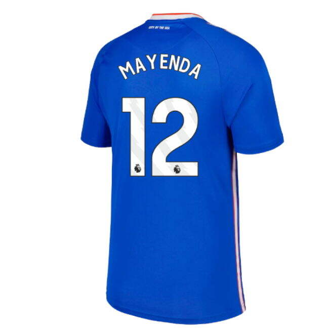 2025-2026 Performance Sunderland Away Jersey