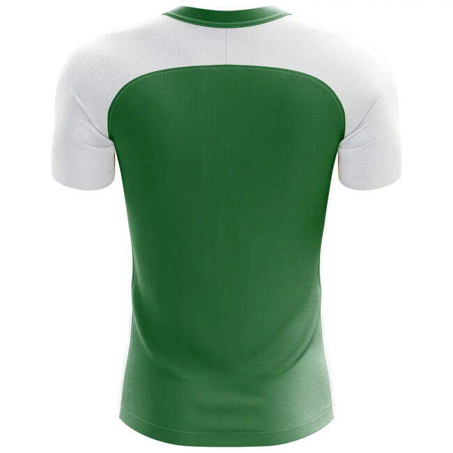 Replica Quality Nigeria Home Fan Jersey (Womens)