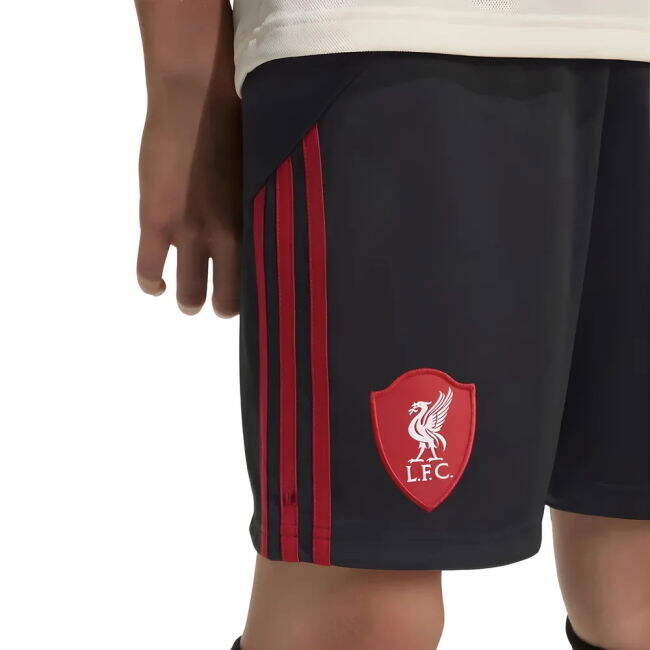 Liverpool 2025-20 Away Soccer Kit Printing L S Kids