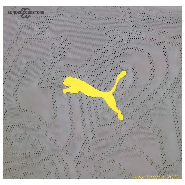 High-Quality 2024-2025 Racing Lens Training Shirt (Cast Iron)