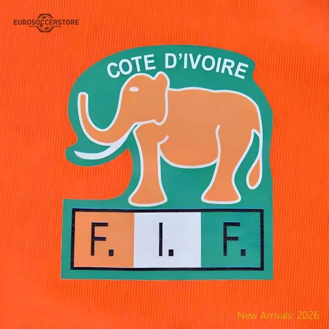 Ivory Coast 20242025 Regular Pro Shirt Sleek Quickdry