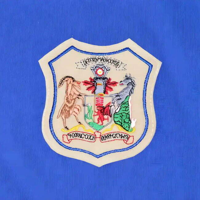 Championship Performance Jersey Cardiff #58