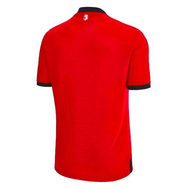 Georgia official style Third Shirt 2023-2024 (Men
