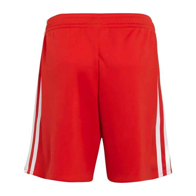 2025-2026 Bayern Munich Home - moisture-wicking sleek uniform v1.251