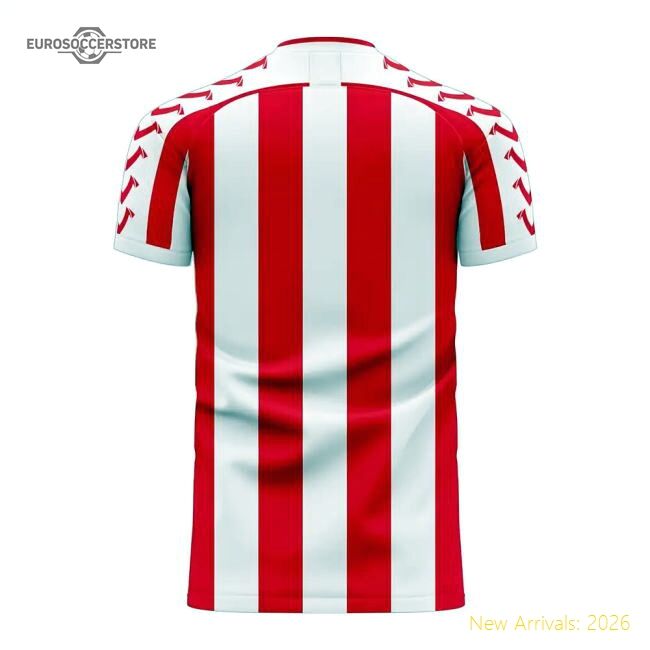 Premium-grade Stoke 2025-2026 Home Concept Football Kit (viper)