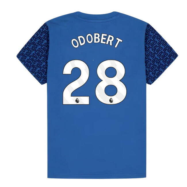 Classic Tottenham Flexible - Economical Replica Jersey Blue Kids#865