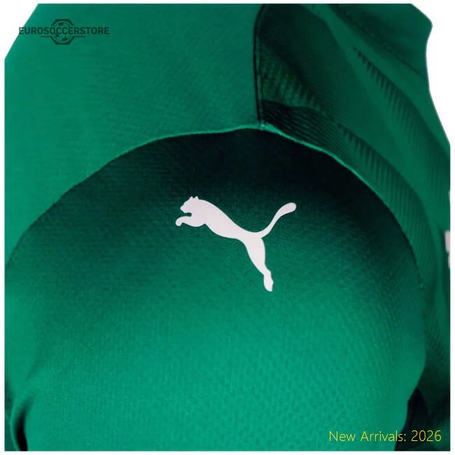 2024-2025 Plymouth Argyle Home Shirt - Excellent Value - Premium Quality