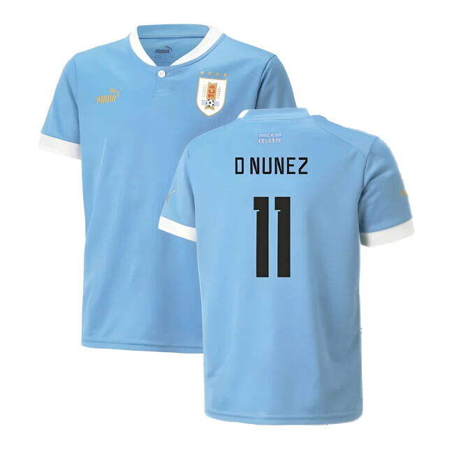 Home Shirt for Uruguay 2022-2023 (Adult
