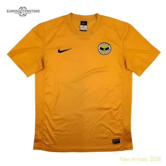 High-Quality Avenir Castriote Nike Training Shirt (M) (Very Good)