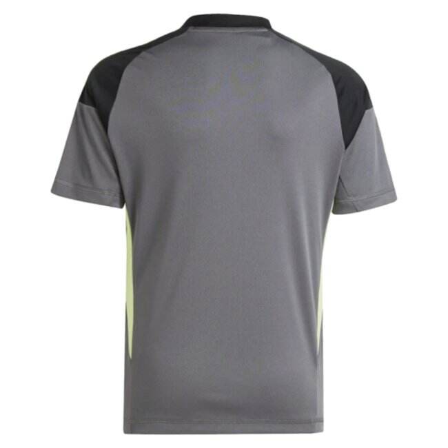 2025-2026 Juventus Home Goalkeeper Shirt (Grey) - Kids (Pinsoglio 23)