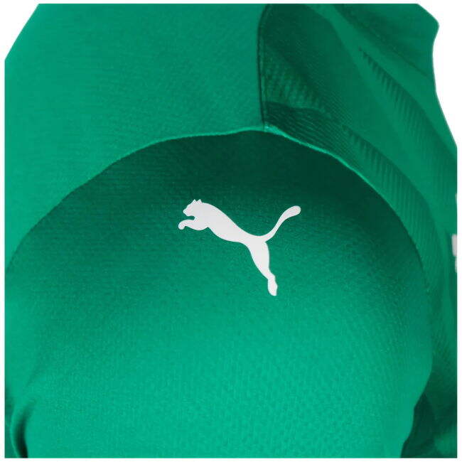 Home Shirt for Plymouth Argyle 2024-2025 (Men