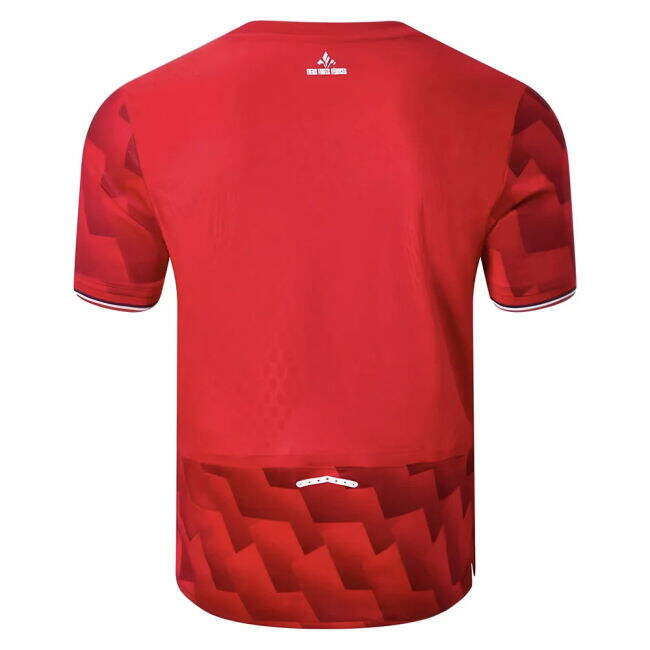 Lille Authentic Design True 2025-2026 Campaign Fan Jersey