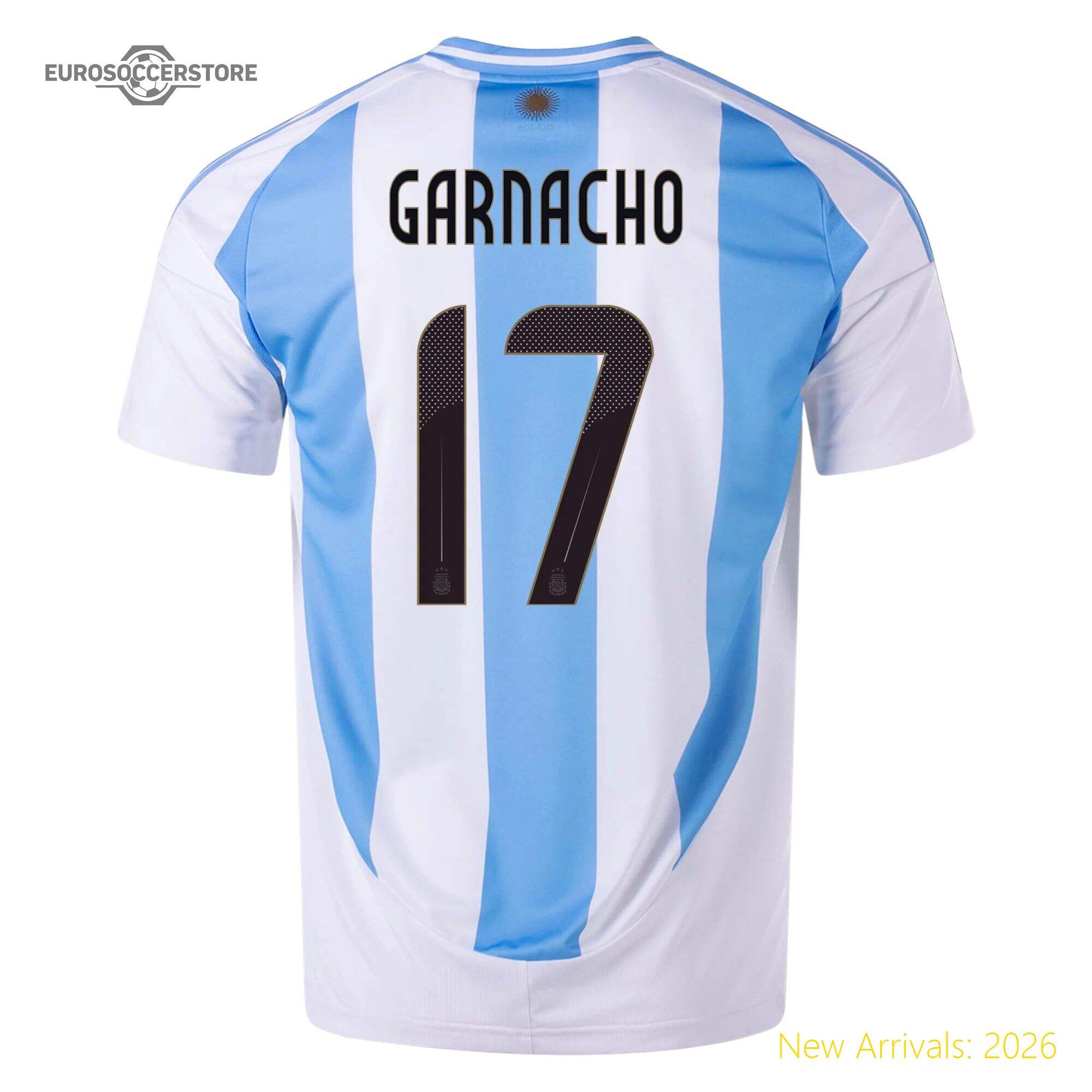 High-quality Men Arg National Team Legend Home Jersey 2024