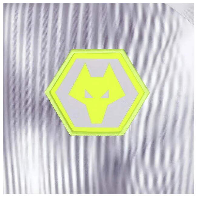 2024-2025 Wolves Players Training Shirt (Grey) - game day