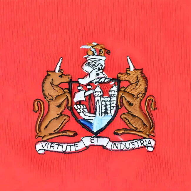 Football Bristol City #1973 Ultra Comfort Fervent New Release Fan J...