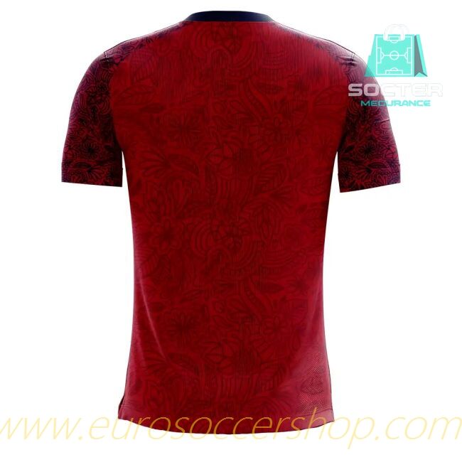 Player Version 2025-26 Edition Norway Home Jersey (Your Name)