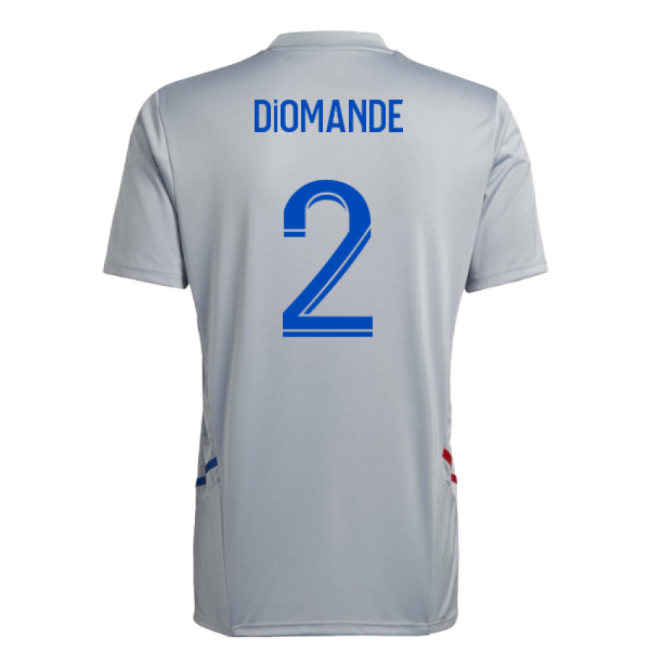 Top Tier Lyon Olympique Lyon Training Jersey Halo Silver Diomande ...