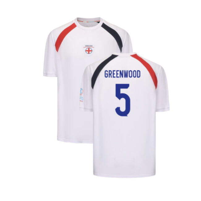 2025 England WEC Poly T-Shirt (White) - Mens (GREENWOOD 5)