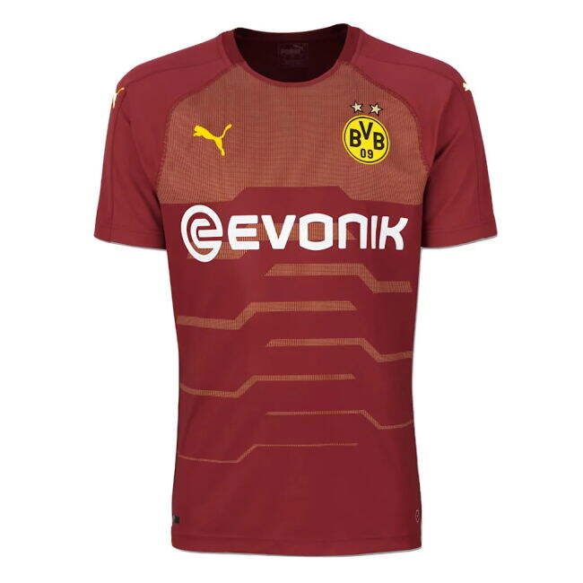 Professional Style Borussia Dortmund Third Player Jersey 2018-2019