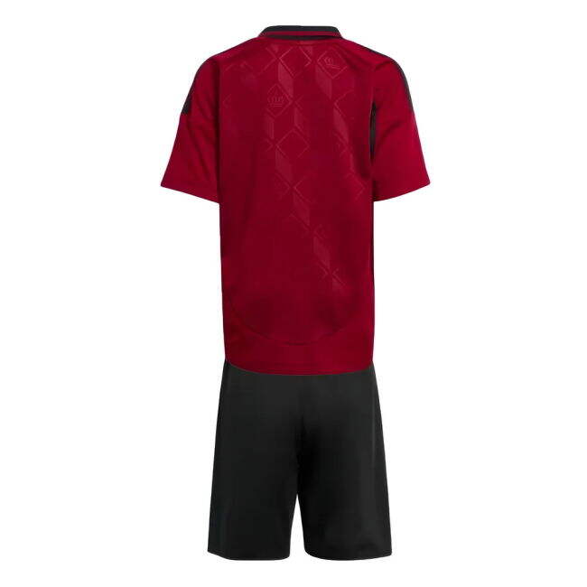 Premium 2024-2025 Belgium Home Performance Athletic Authentic