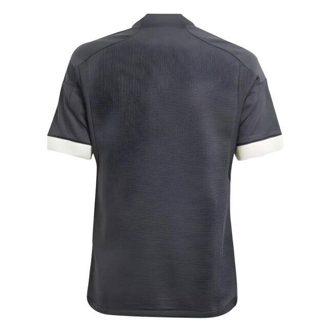 Rare Juventus Third Jersey 2023-2024
