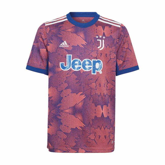 Juventus Stylish Third Jersey 2022-2023