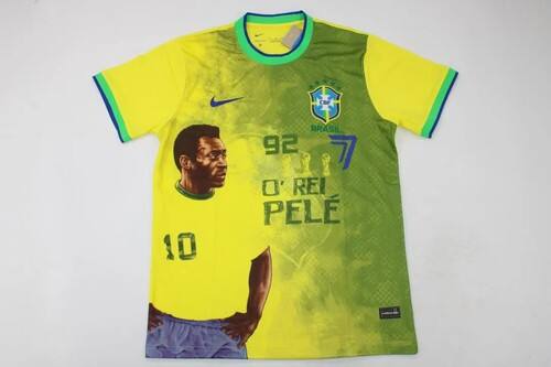 Official Brazil 2022-2023 Camiseta - European Championship