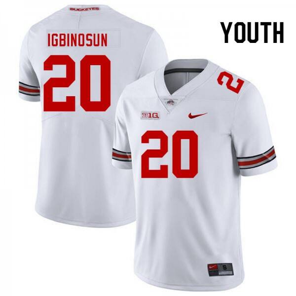 Youth(kids) Ohio State Buckeyes Davison Igbinosun #20 Big Ten Jersey