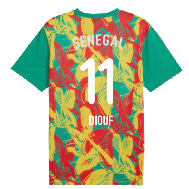 2024-2025 Exclusive Senegal Jersey