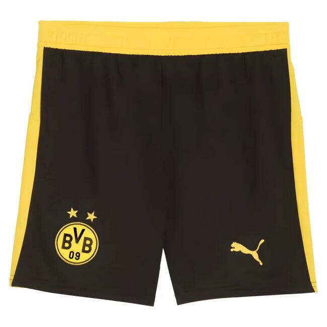 Vintage 2025-2026 Borussia Dortmund Professional Home - Captain