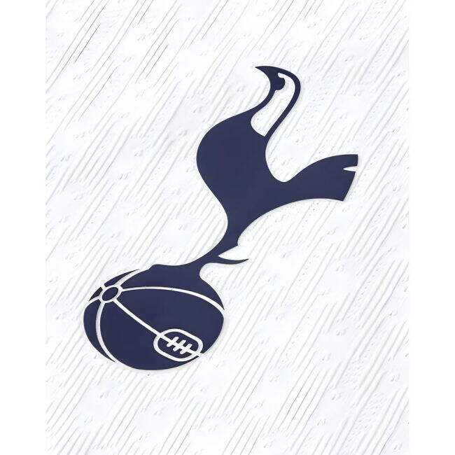 Tottenham 2025-20 Home Football Shirt with Van De Ven Printing M S