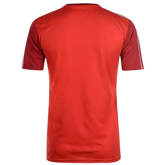 Light Blues Durable Material Avid Fresh Look Fan Shirt - Scotland Football