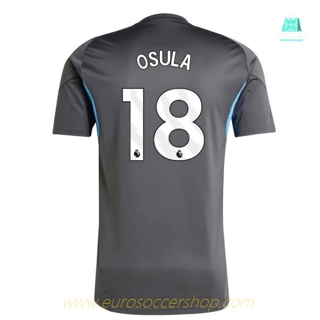 2025-2026 Newcastle Training Shirt (Grey) (Osula 18)