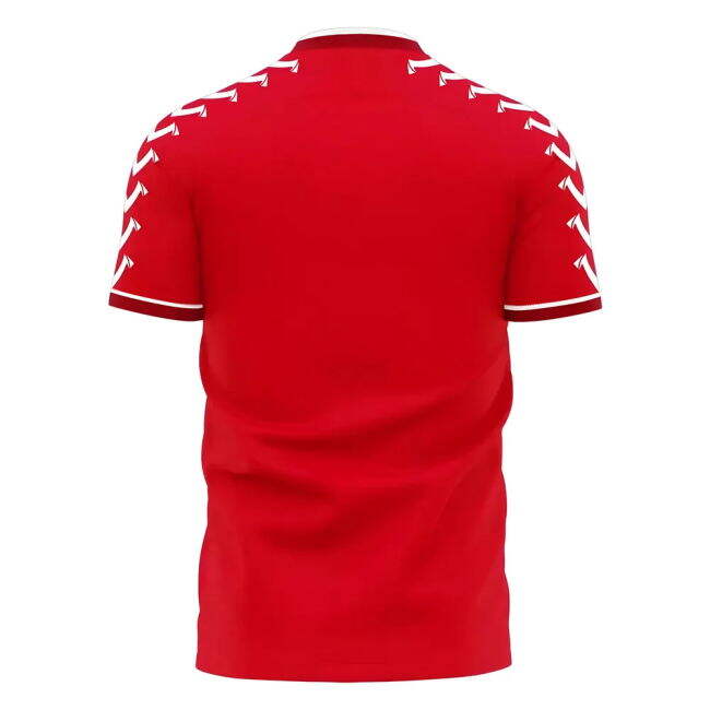 Guinea official style Home Kit 2025-2026 (Adult