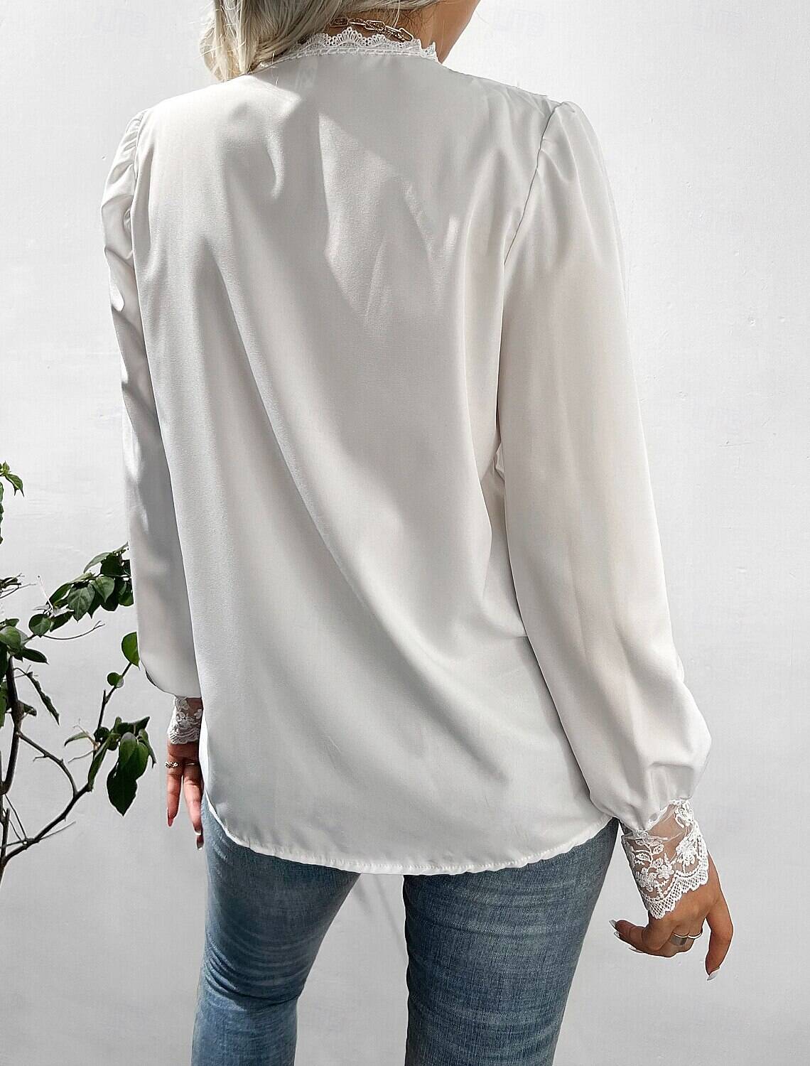 Women's Blouse Stylish Modern Lace Long Sleeve Regular Tops Crew Neck Work Daily Spring Fall