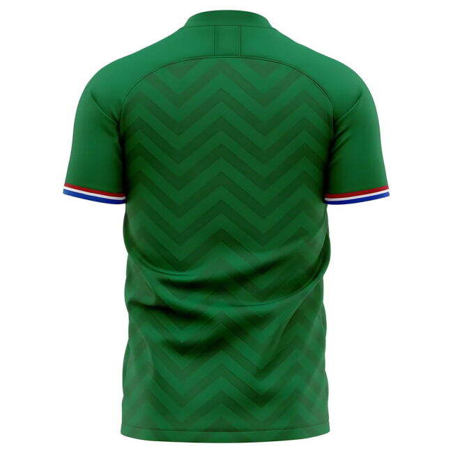 2025-2026 Saint Etienne Home Concept Football Shirt - Womens
