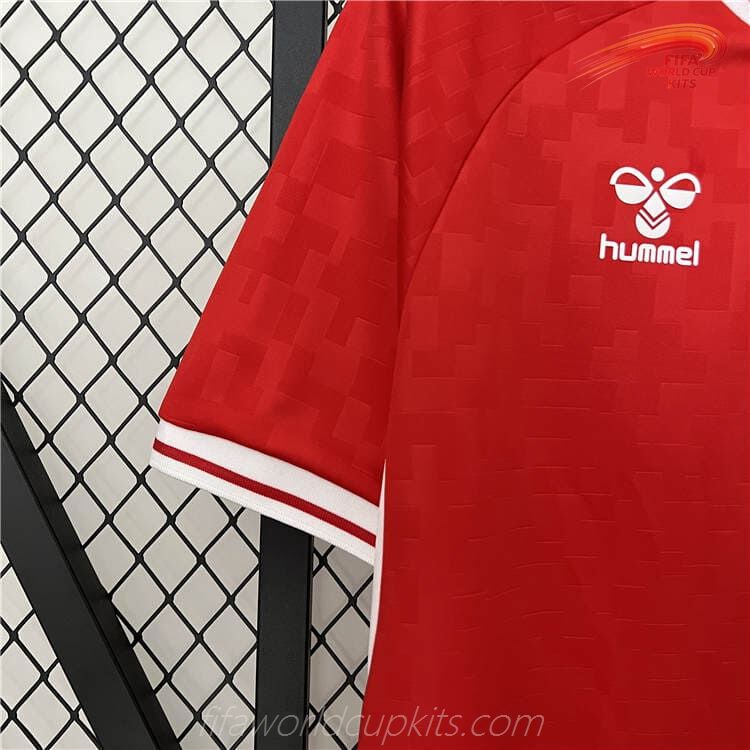 Denmark 2024 year Main Soccer Uniform